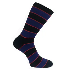 Malvern Thin Malvern Thin